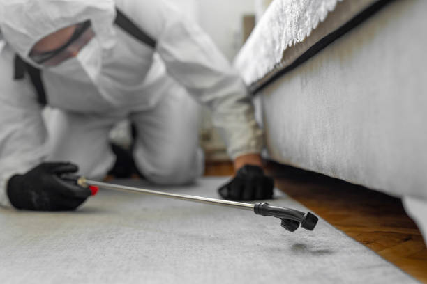 Professional Emergency Pest Control technician working in Sand Springs, OK