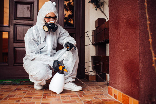 Reliable Emergency Pest Control contractor in Sand Springs, OK by Nex Pest Control