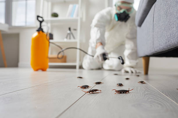 Trusted Rodent Control service in Sand Springs, OK - Nex Pest Control